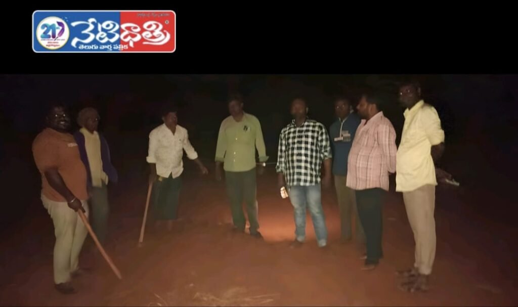 Auto Drivers Fix Dangerous Potholes