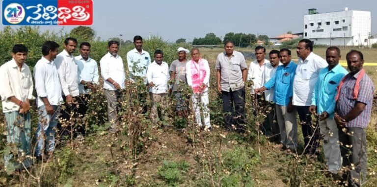 Farmers Protest Over Unpaid Crop Compensation