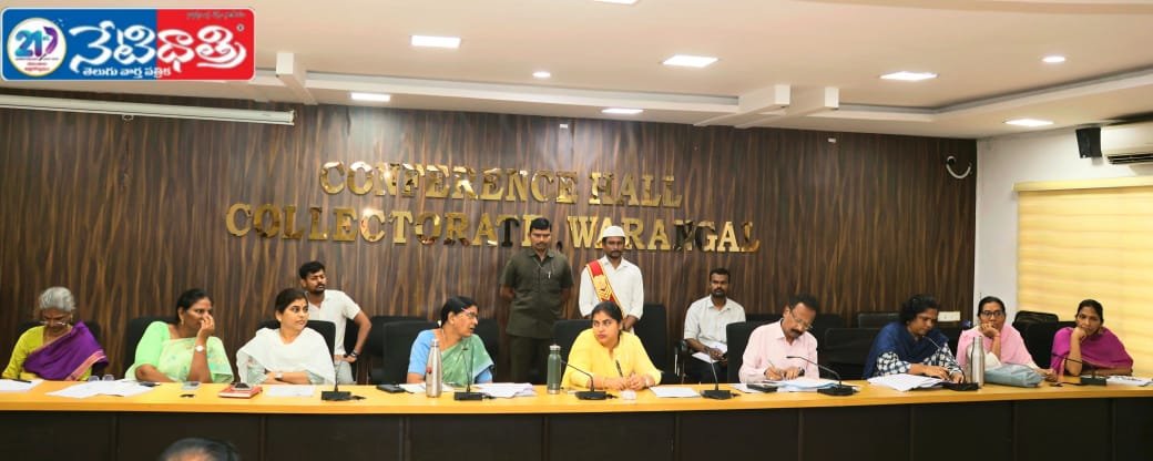 పంచాయతీ ఎన్నికలు పకడ్బందీగా నిర్వహించాలి