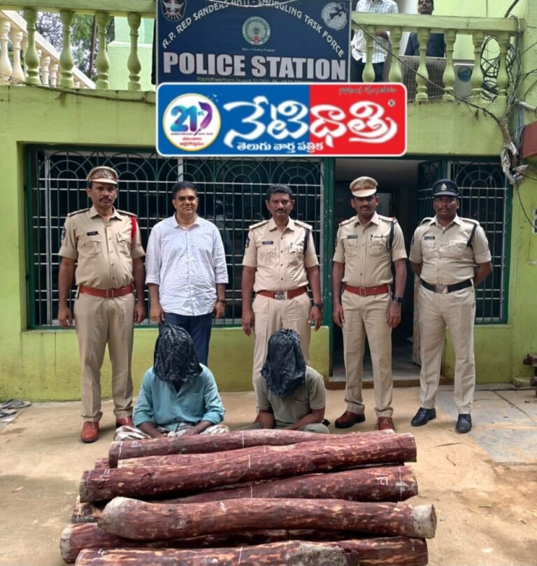 Red Sandalwood Seized, 2 Smugglers Arrested in Mamanduru