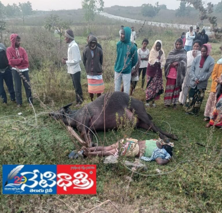 Electric Shock Tragedy in Jakkaloddi Village