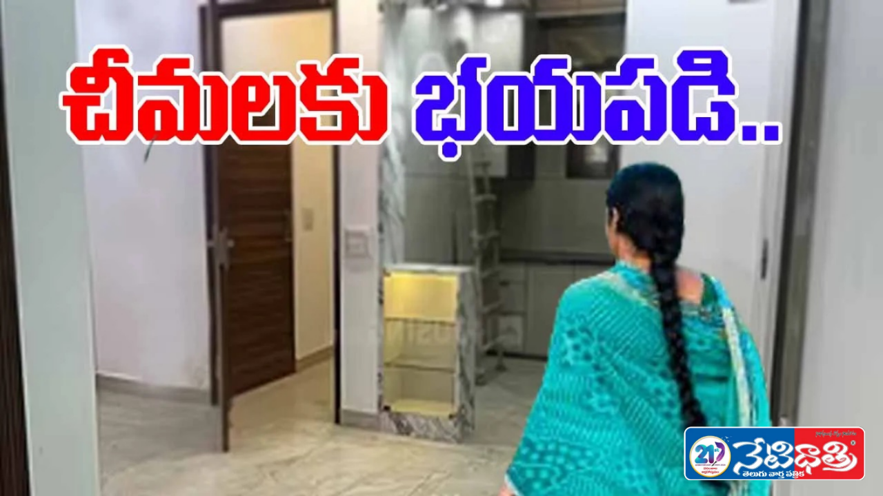  చీమల ఫోబియాతో మహిళ షాకింగ్ నిర్ణయం.. సూసైడ్ నోట్ రాసి..