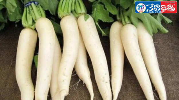 Winter Health Benefits of Radish