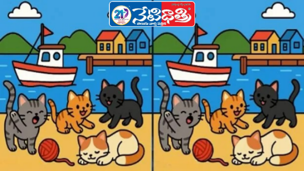 Find 3 Differences in 25 Seconds!