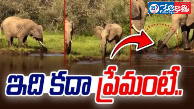 World’s Longest Car: The American Dream