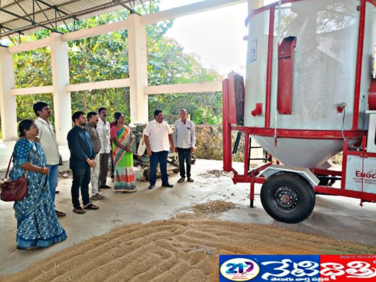 Collector Inspects Grain Procurement Center