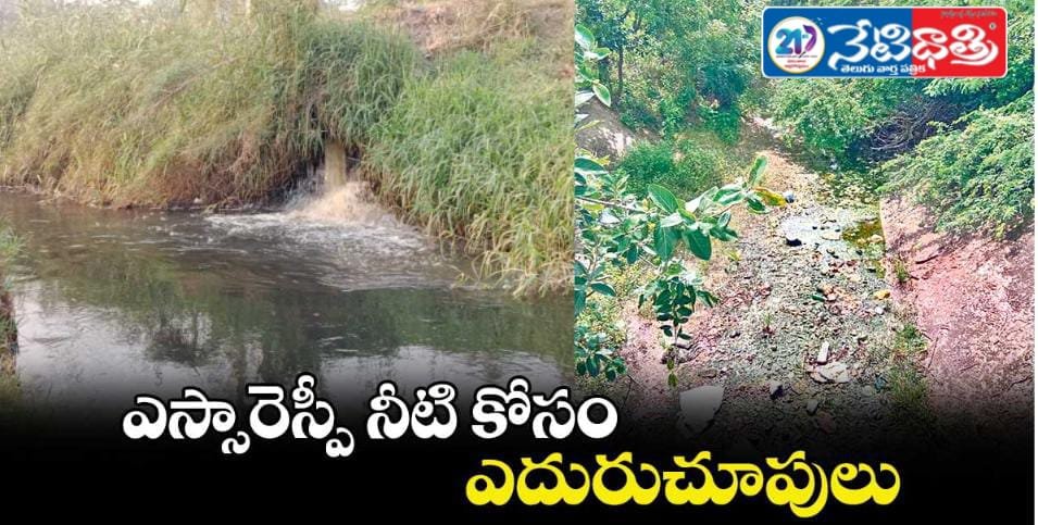 WhatsApp Image 2025-12-26 at 12.58.31 PM