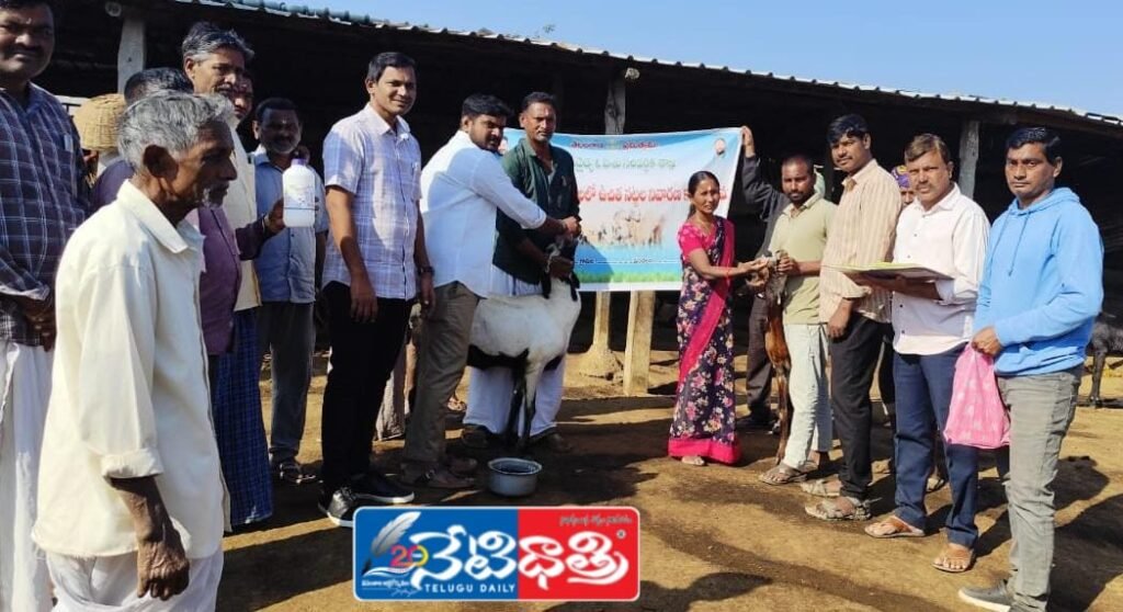 WhatsApp Image 2025-12-30 at 2.31.41 PM