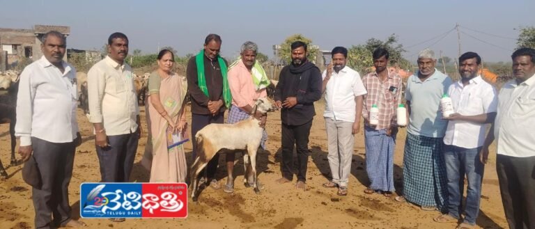 WhatsApp Image 2025-12-30 at 2.45.47 PM