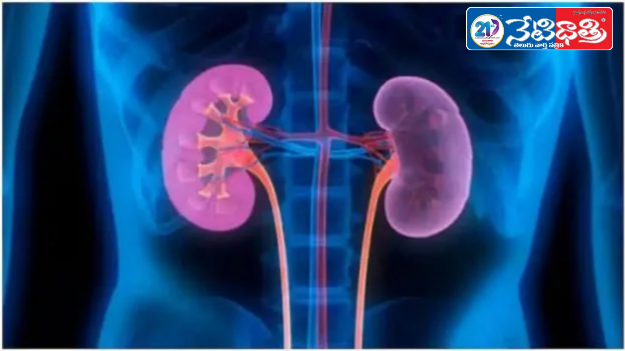 Global Hospital Seized in Kidney Racket Case