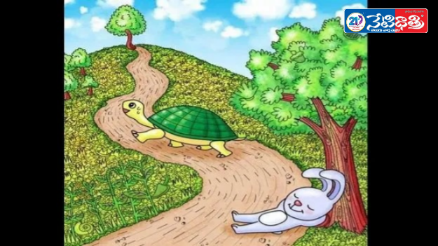 Can You Spot the Needle in 25 Seconds?