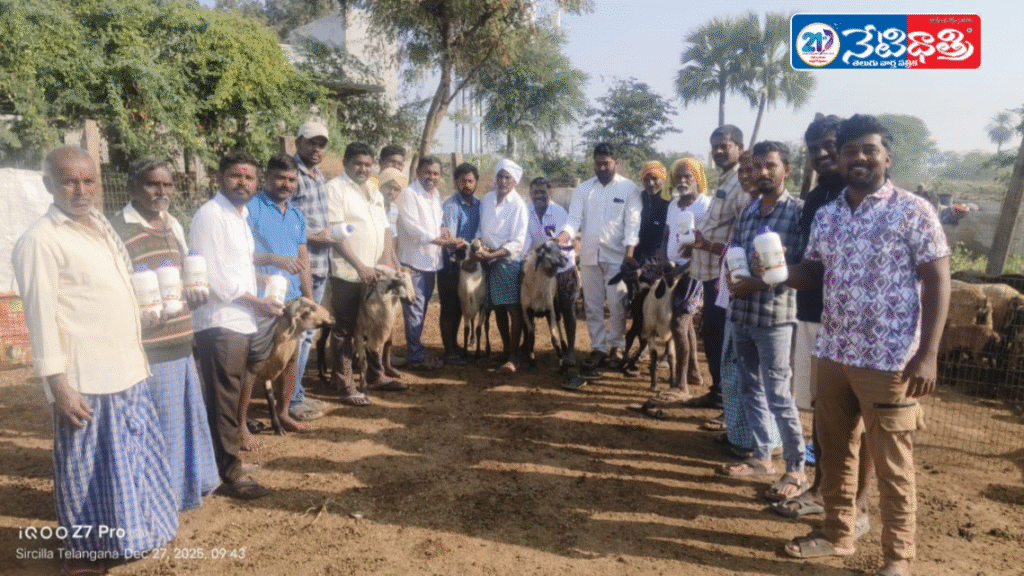 Nattle Disease Prevention Medicines Distributed in Mandapalli