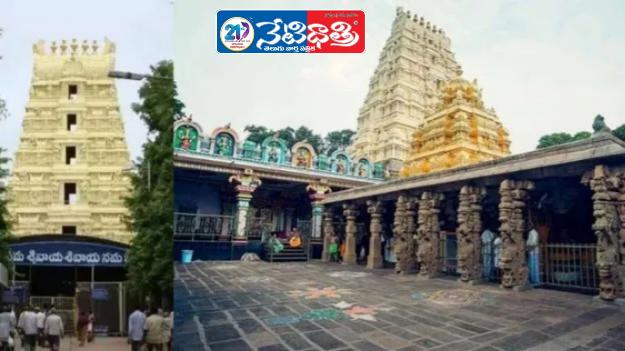 "Srisailam Temple Offers Free Darshan to Chenchu Tribals"
