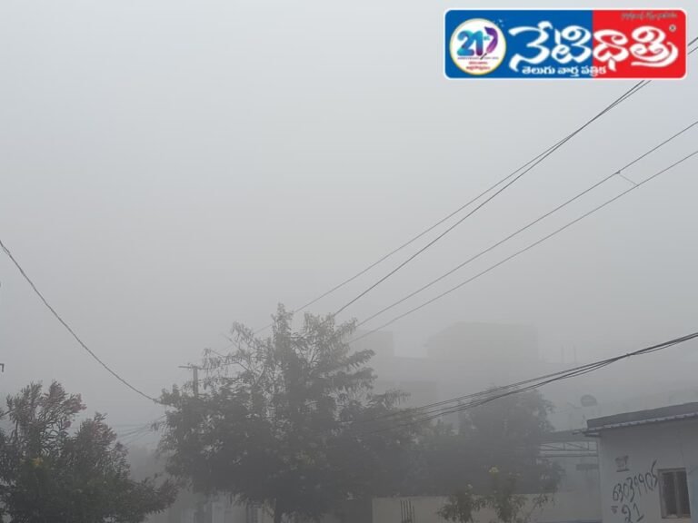 Sircilla Shrouded in Dense Fog and Cold