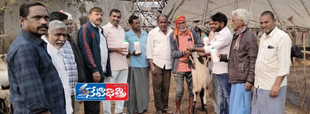 Deworming Medicines Distributed to Sheep and Goats