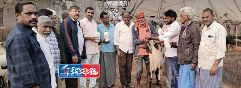 Deworming Medicines Distributed to Sheep and Goats
