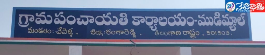 Allegations of Illegal Constructions Under Panchayat Protection