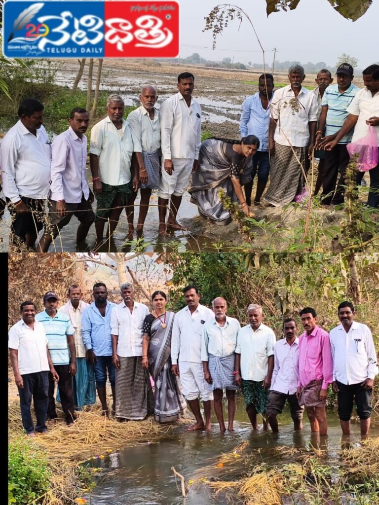 SRSP Canal Water Reaches Arpanapalli