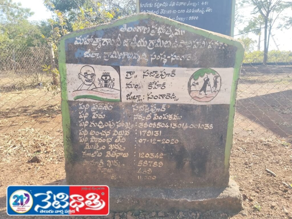 Illegal Construction Must Be Removed: Revenue Officials