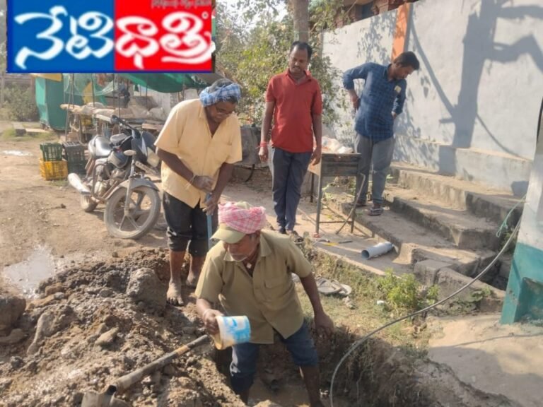 WhatsApp Image 2026-01-10 at 5.47.48 PM