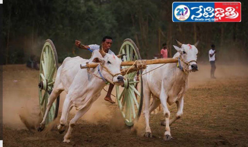 WhatsApp Image 2026-01-10 at 6.13.27 PM