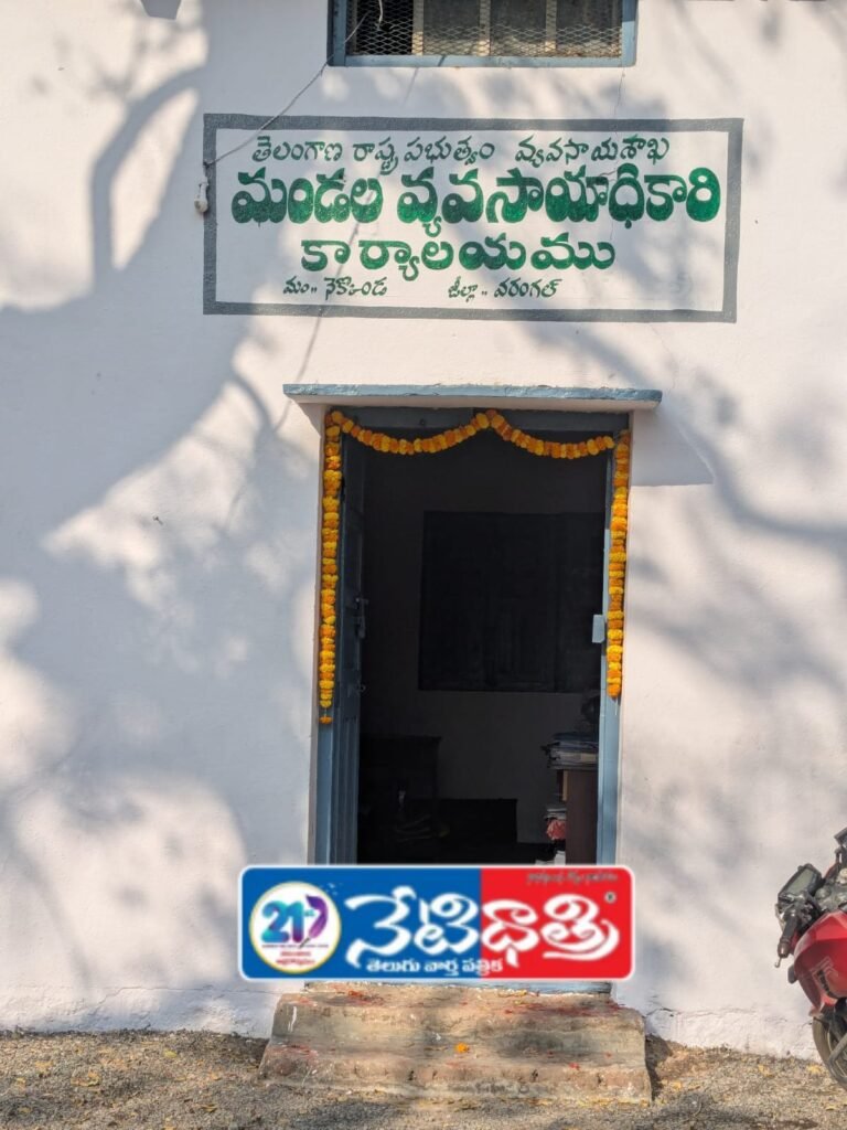 WhatsApp Image 2026-01-13 at 4.55.00 PM