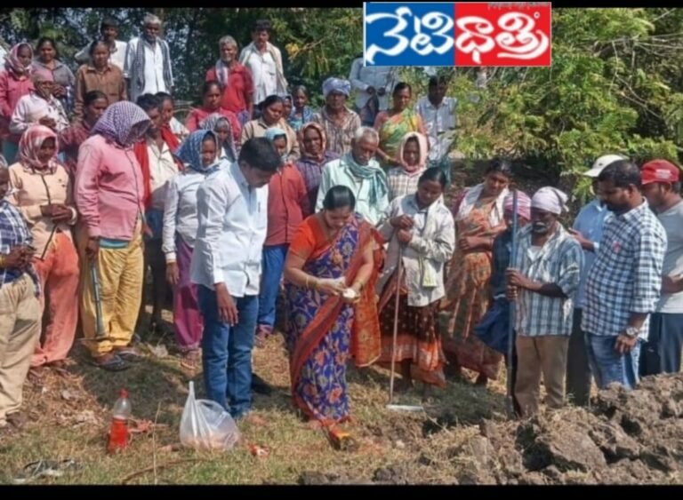 WhatsApp Image 2026-01-13 at 5.00.08 PM