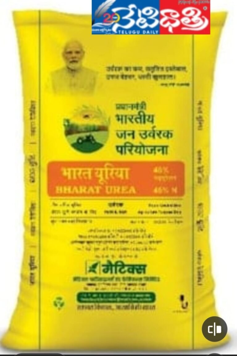 WhatsApp Image 2026-01-14 at 3.32.17 PM