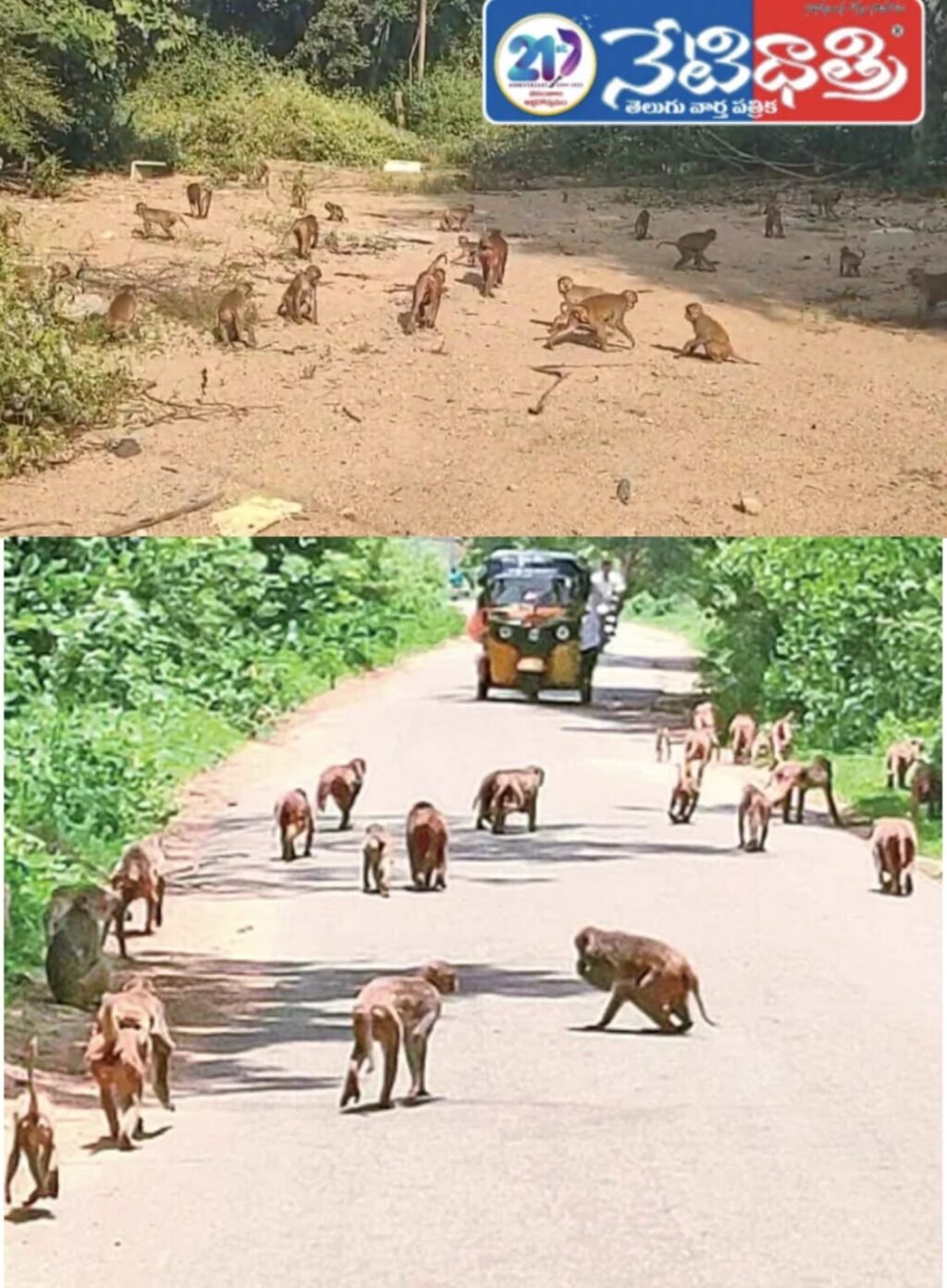 WhatsApp Image 2026-01-14 at 5.12.44 PM