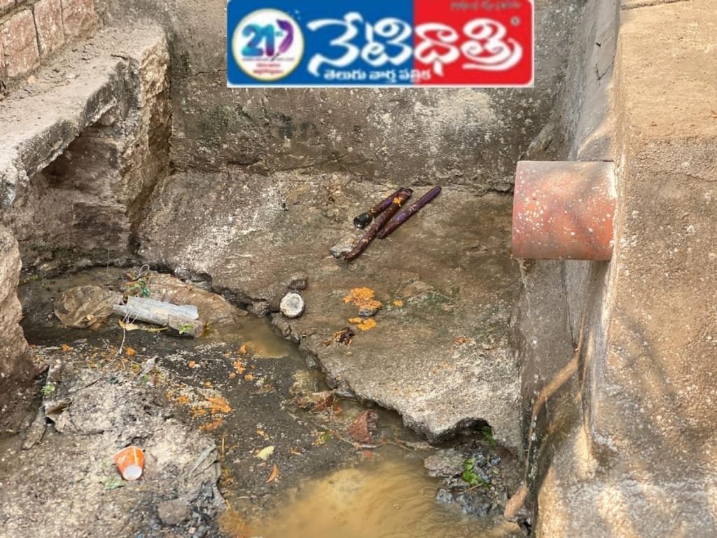 WhatsApp Image 2026-01-16 at 12.37.33 PM