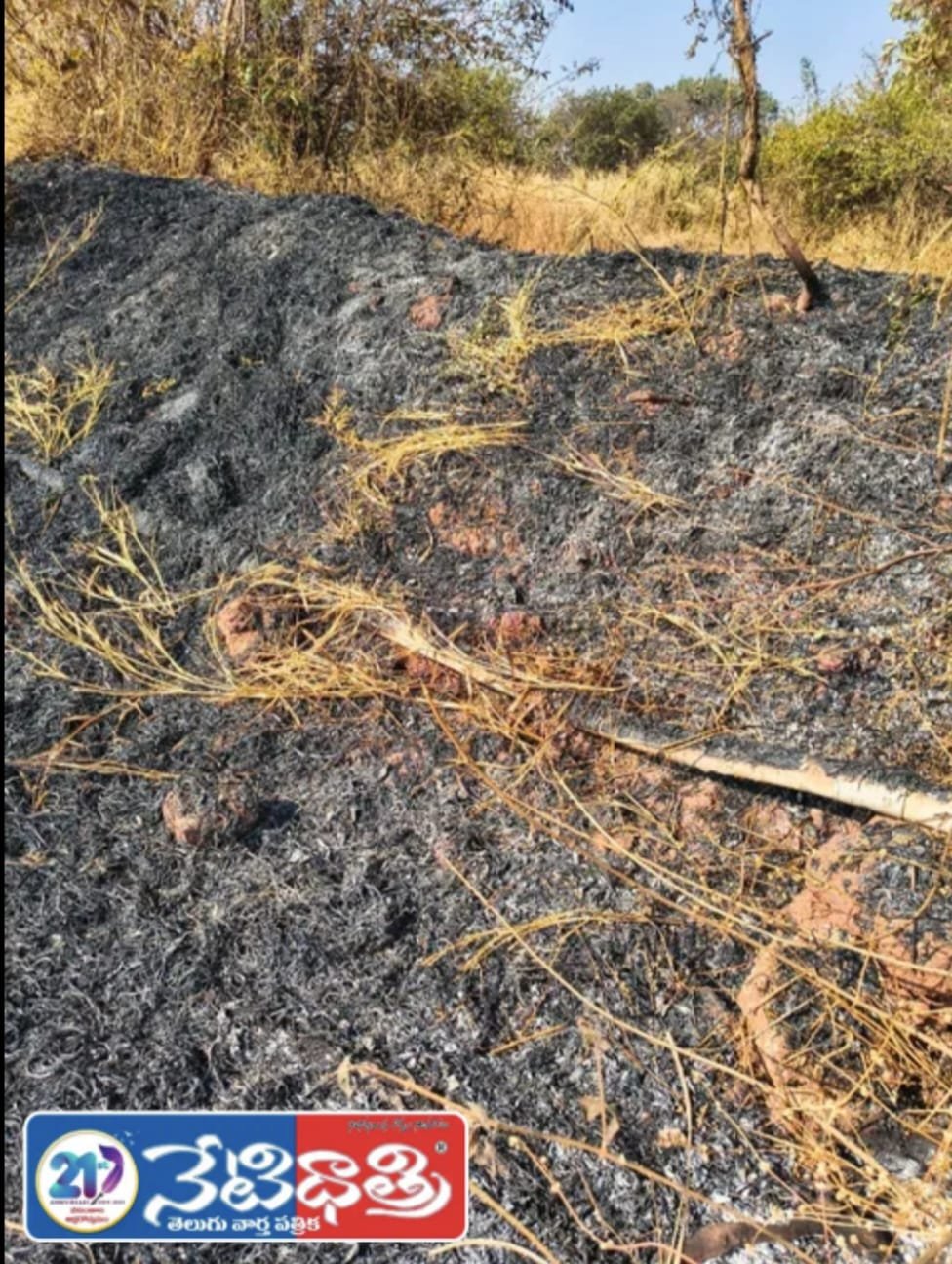 Miscreants Set Farmer Crops and Pipeline on Fire