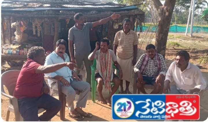 WhatsApp Image 2026-01-20 at 11.36.24 AM