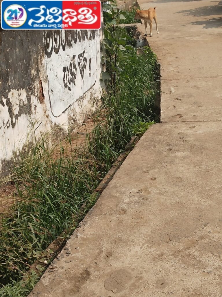 WhatsApp Image 2026-01-20 at 2.58.03 PM