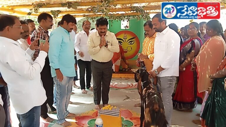 WhatsApp Image 2026-01-21 at 4.08.30 PM (1)