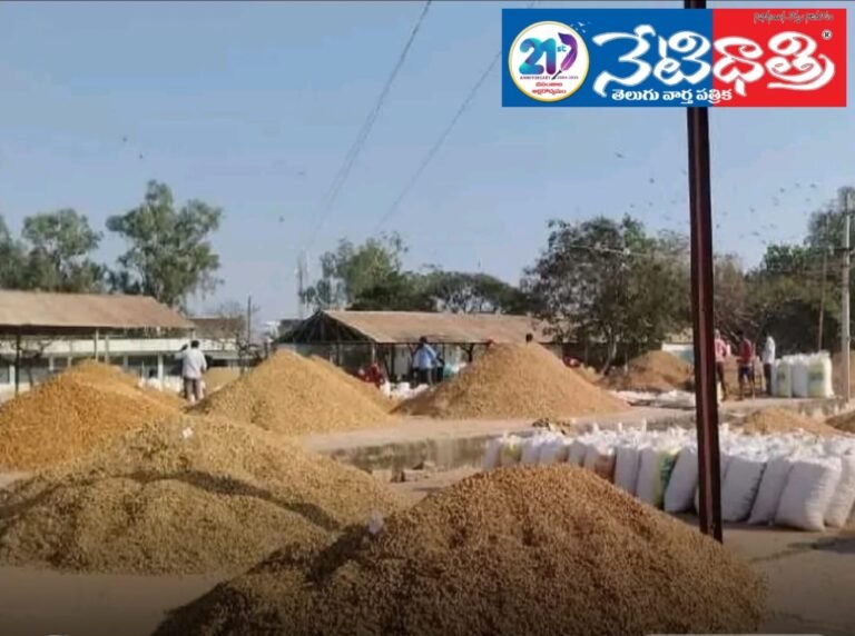 WhatsApp Image 2026-01-24 at 3.09.00 PM