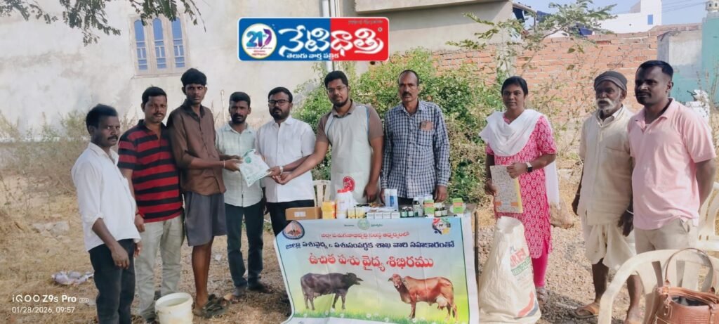 Cattle in Nizampet”.