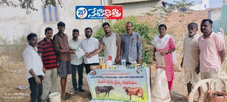 Cattle in Nizampet”.