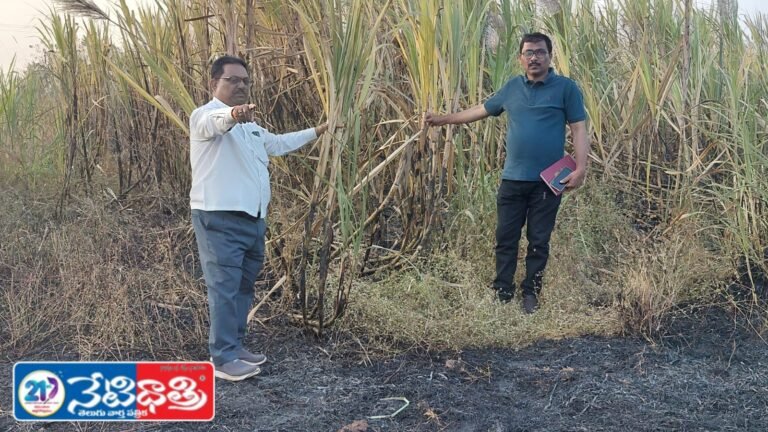 WhatsApp Image 2026-01-30 at 7.32.10 PM