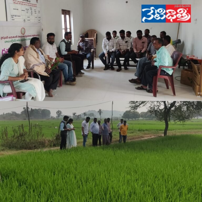 WhatsApp Image 2026-01-31 at 4.54.13 PM