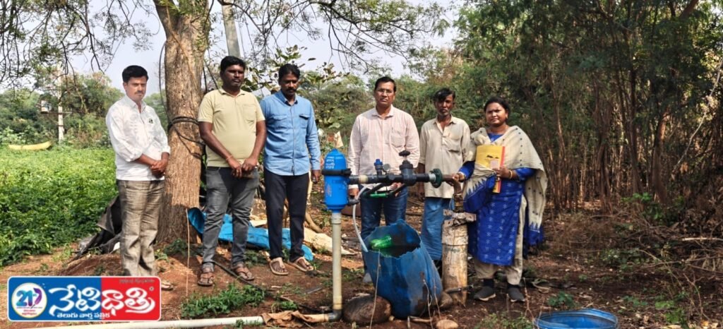 WhatsApp Image 2026-01-31 at 5.09.37 PM