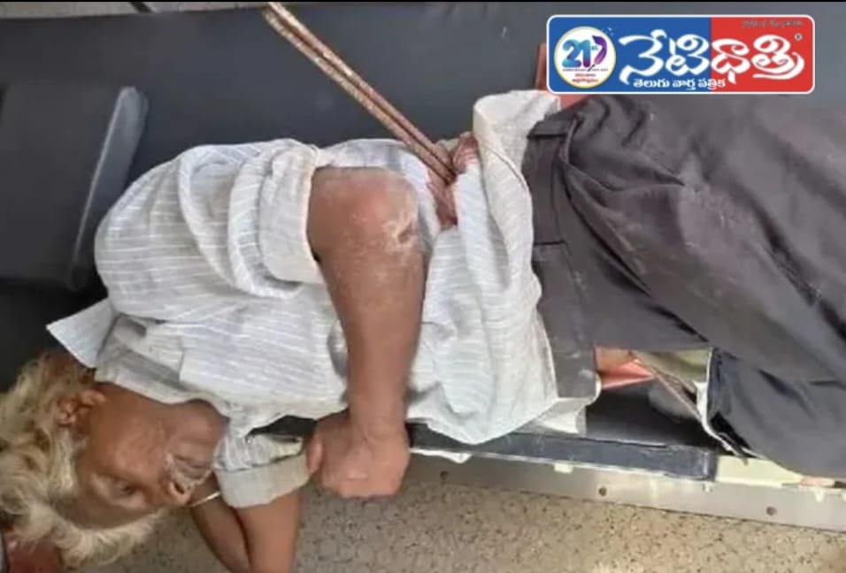 WhatsApp Image 2026-02-03 at 5.05.44 PM