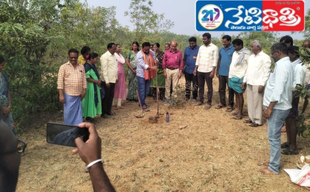 WhatsApp Image 2026-02-03 at 6.46.30 PM