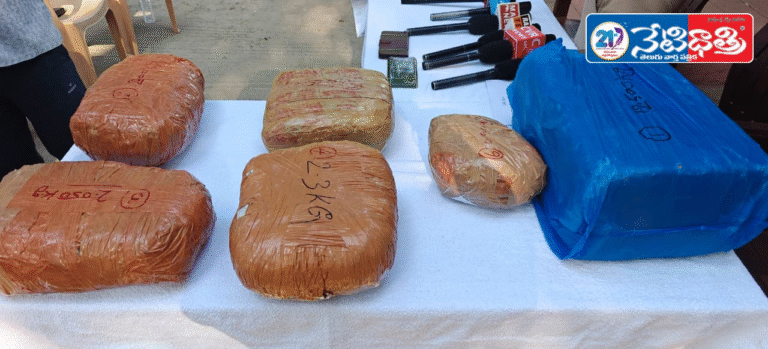 WhatsApp Image 2026-02-03 at 7.00.42 PM