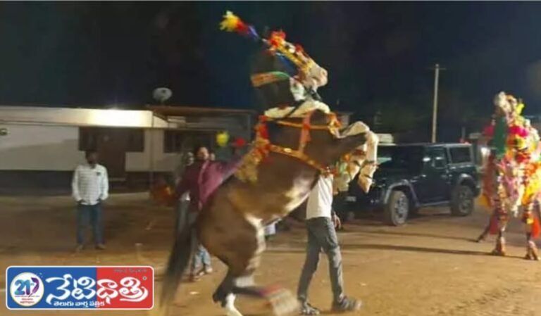 Horse Dance Steals the Show at Urs Festival