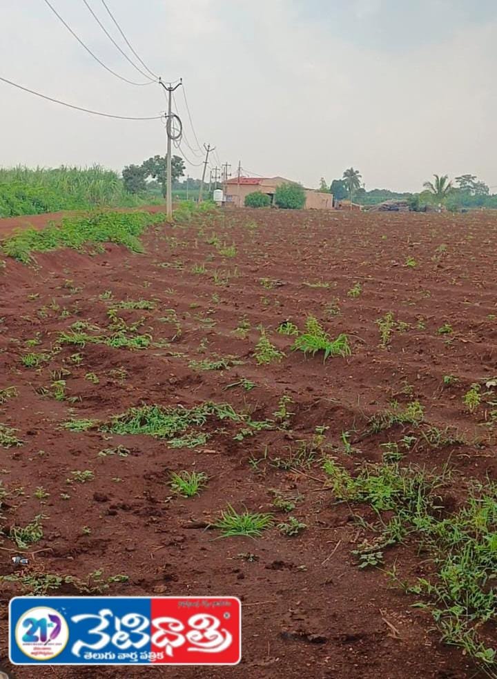 Film Team Seeks Blessings at Ketaki Sangameshwara Temple