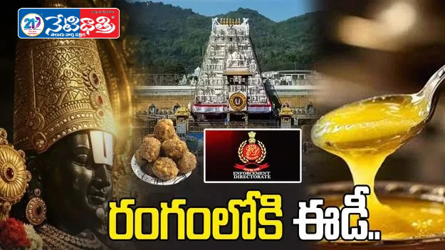 ED Enters Tirumala Laddu Adulteration Case