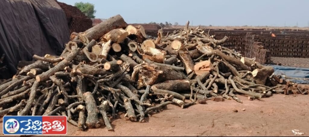 Illegal Brick Kilns Flourish in Zaheerabad