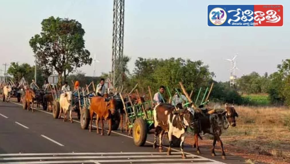 Migrant Labourers Return Home After Sugarcane Work