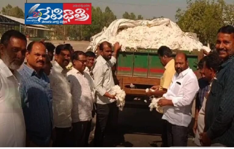 Cotton Prices Fall in Jammikunta Market