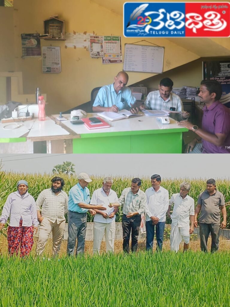Fertilizer Shops Inspected in Kesamudram